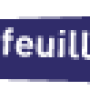 wiki_visiere_covid19_feuille.png